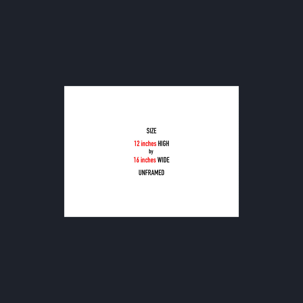 A white rectangular size card centered on a dark charcoal background, with text reading 'SIZE 12 inches HIGH by 16 inches WIDE UNFRAMED' in black and red lettering.