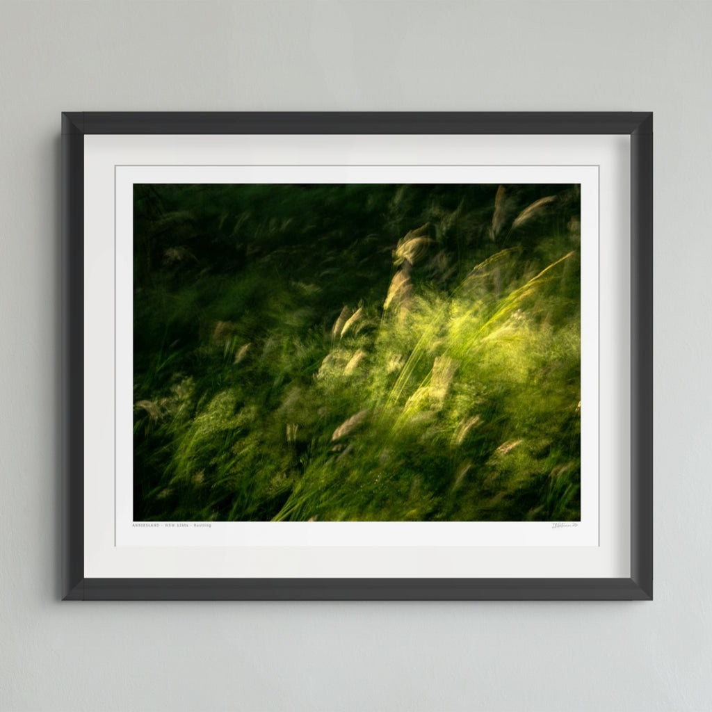 A framed art print featuring a green and yellow grassy landscape with a white mat and a dark gray frame, hung on a light gray wall.