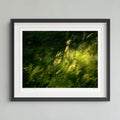 A framed art print featuring a green and yellow grassy landscape with a white mat and a dark gray frame, hung on a light gray wall.