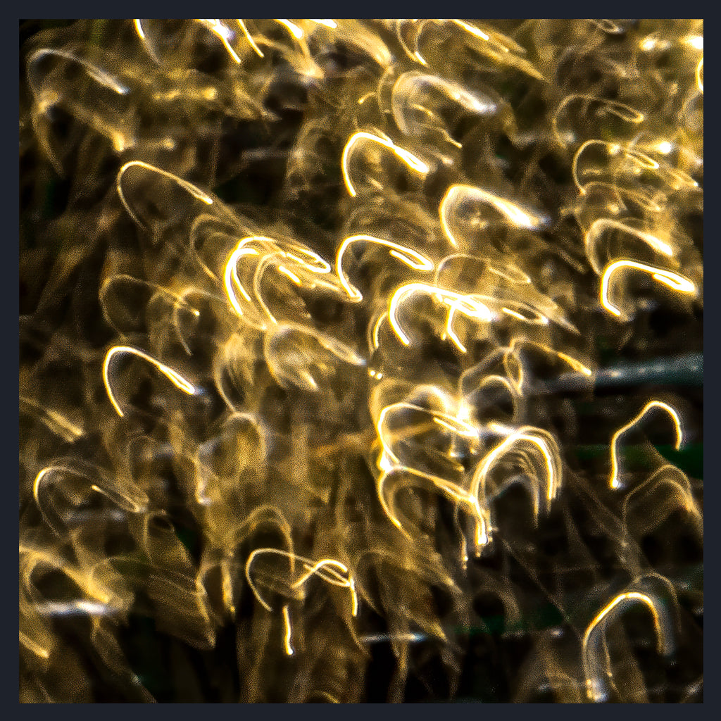 A square abstract photograph of glowing light trails in warm gold, yellow, and white against a very dark background, framed by a dark border.