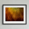 A framed abstract art print featuring glowing golden and orange light trails against a dark brown background, presented in a black frame with a white mat on a light gray wall.