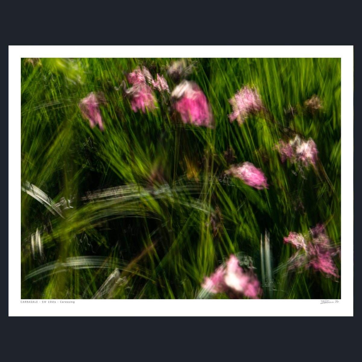 CARRADALE - SW 10kts - Caressing