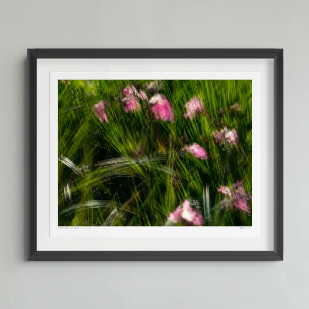 A framed art print featuring a close-up photograph of pink wildflowers in green grass, presented in a black frame with a white mat against a light gray wall.