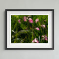 A framed art print featuring a close-up photograph of pink wildflowers in green grass, presented in a black frame with a white mat against a light gray wall.