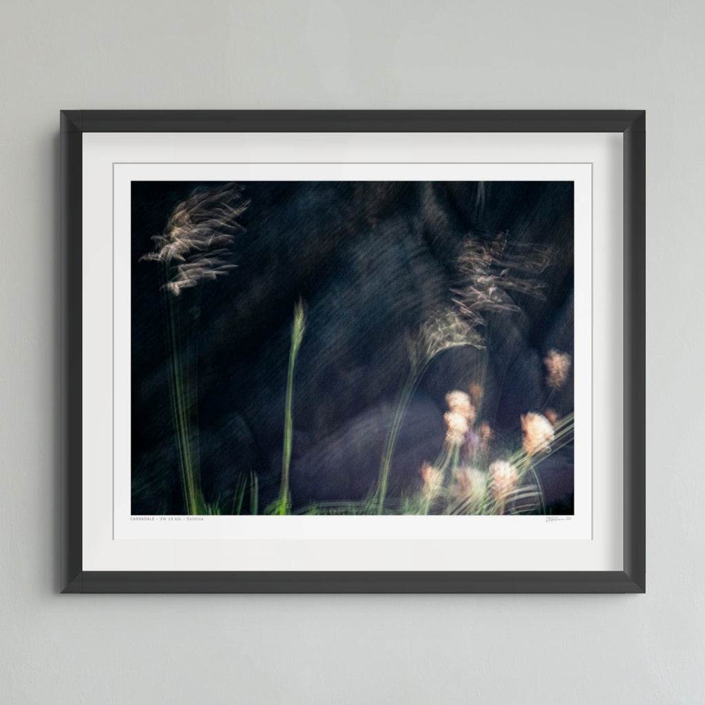 A framed art print featuring a dark, moody photograph of wild grasses with soft pink flowers against a black and deep blue background, presented in a black frame with a white mat on a light gray wall.