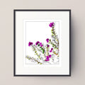 CROSS-LEAVED HEATHER (Erica tetralix)