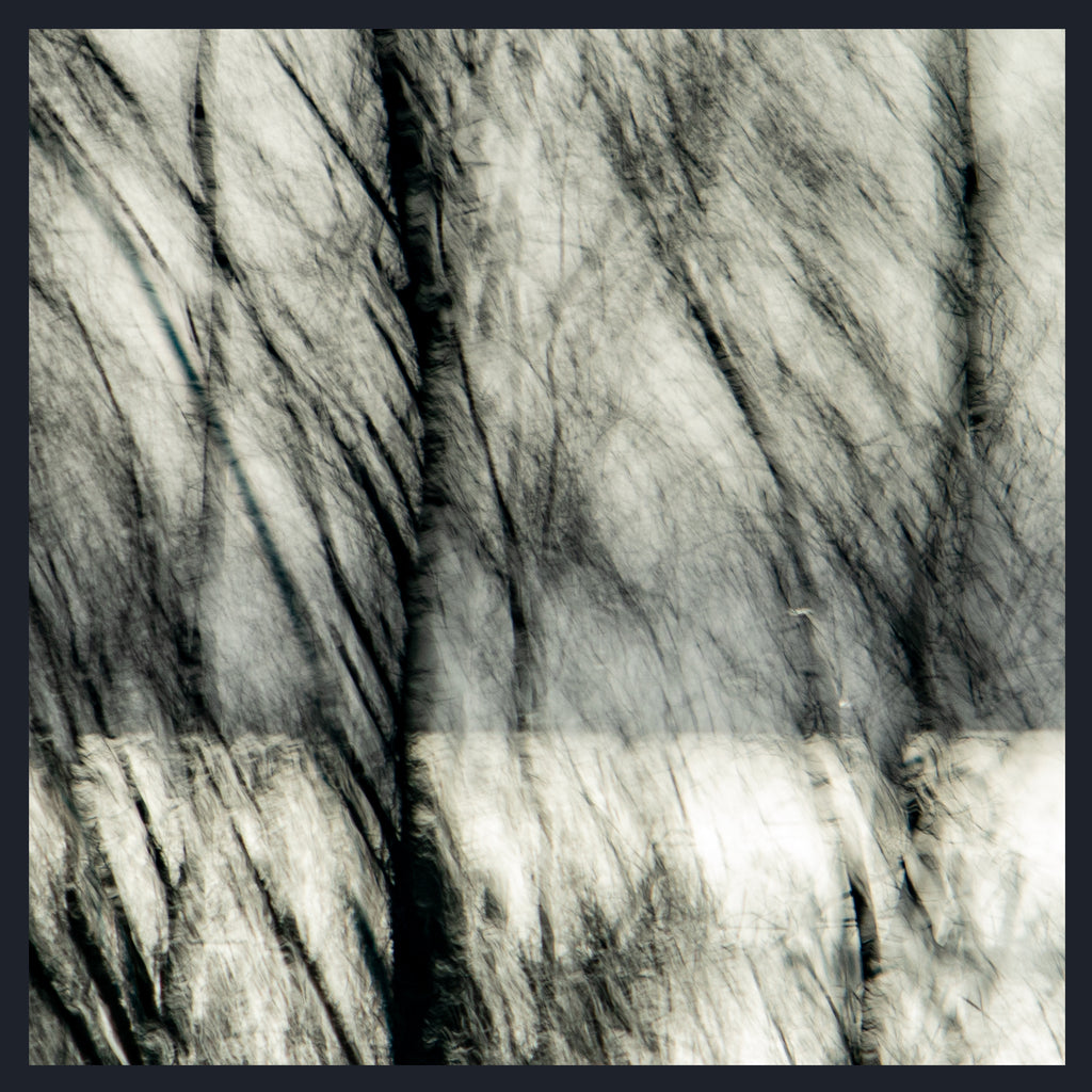 An abstract black and white textured artwork depicting a close-up of flowing, hair-like or brush-like strokes with a dark border around the square composition.