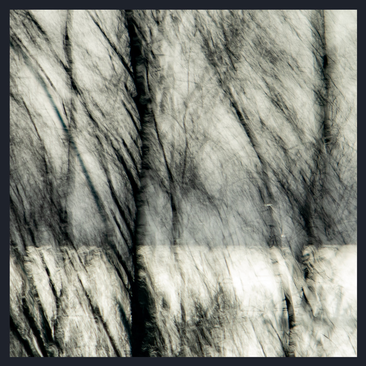 An abstract black and white textured artwork depicting a close-up of flowing, hair-like or brush-like strokes with a dark border around the square composition.