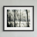 A framed black and white art print depicting blurred tree branches, mounted on a light gray wall.