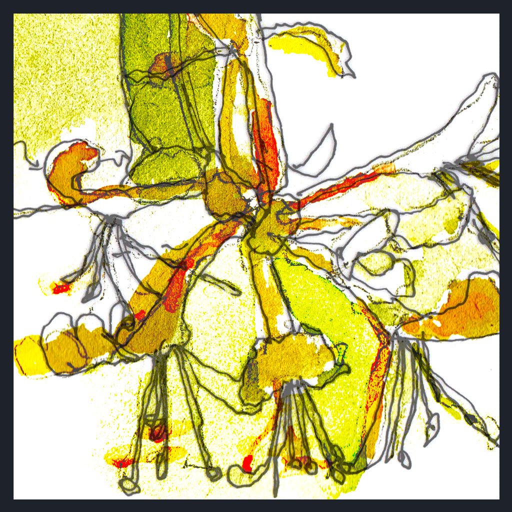 Abstract floral artwork of Honeysuckle (Lonicera periclymenum) with yellow, green, and orange painted flower shapes outlined in black, set against a white background with a dark border.