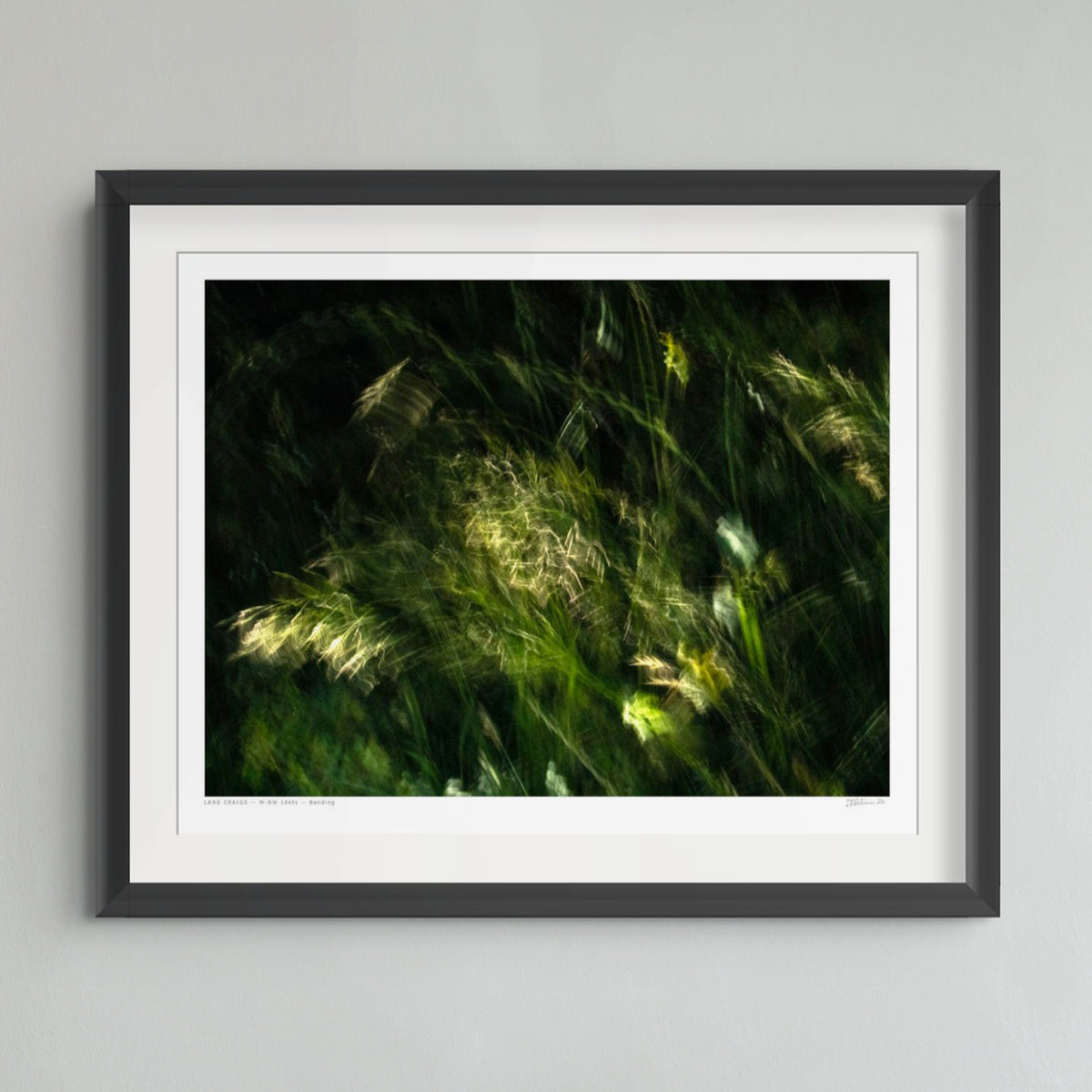 A framed art print featuring an abstract, dark green and black photograph of grasses with bright light highlights, presented in a black frame with a white mat against a light gray wall.