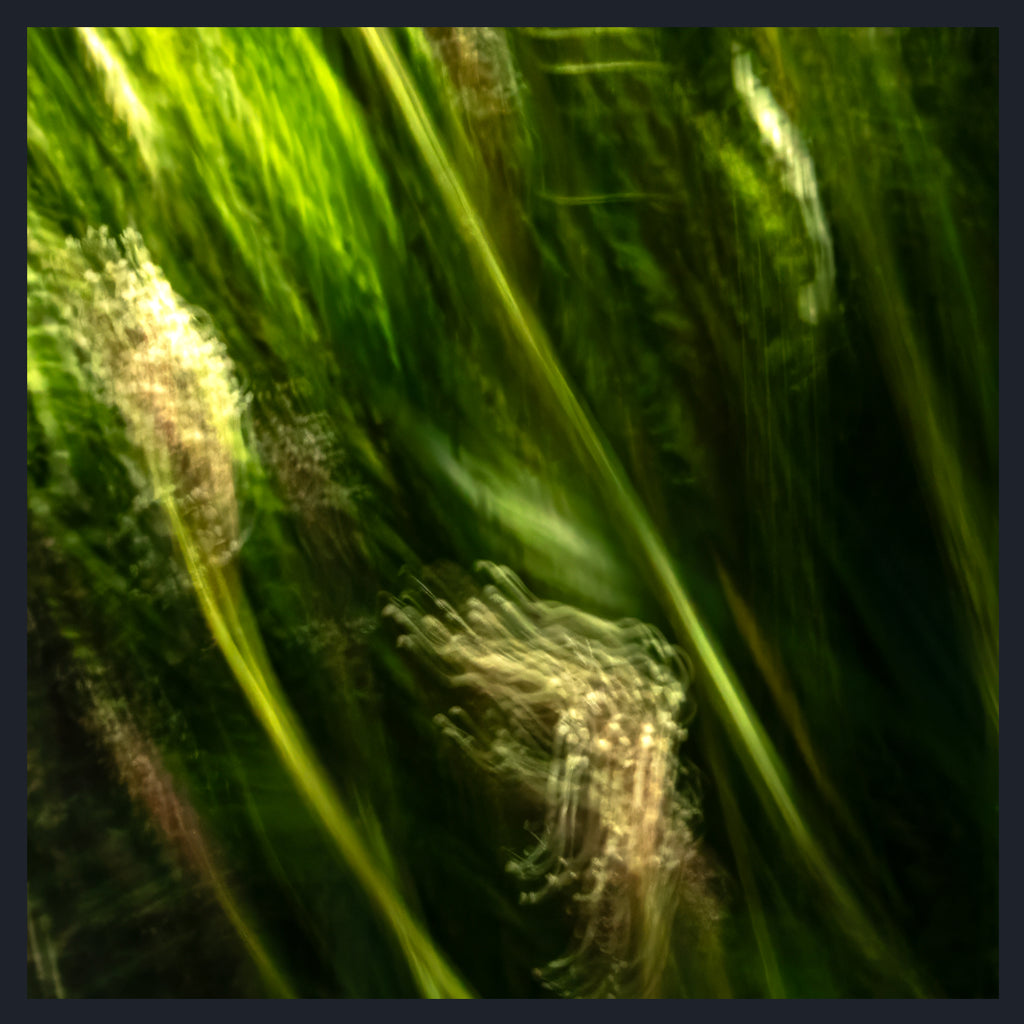 Abstract photographic print featuring blurred vertical streaks of green and yellow-green light with soft glowing beige forms, framed by a dark border.