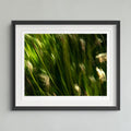 Abstract photographic print featuring blurred vertical streaks of green and yellow-green light with soft glowing beige forms, framed by a dark border.