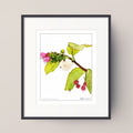 A framed botanical art print featuring a mixed-media illustration of a branch with green leaves, a pink flower, and small red berries on a white background, set in a black frame against a light beige wall.