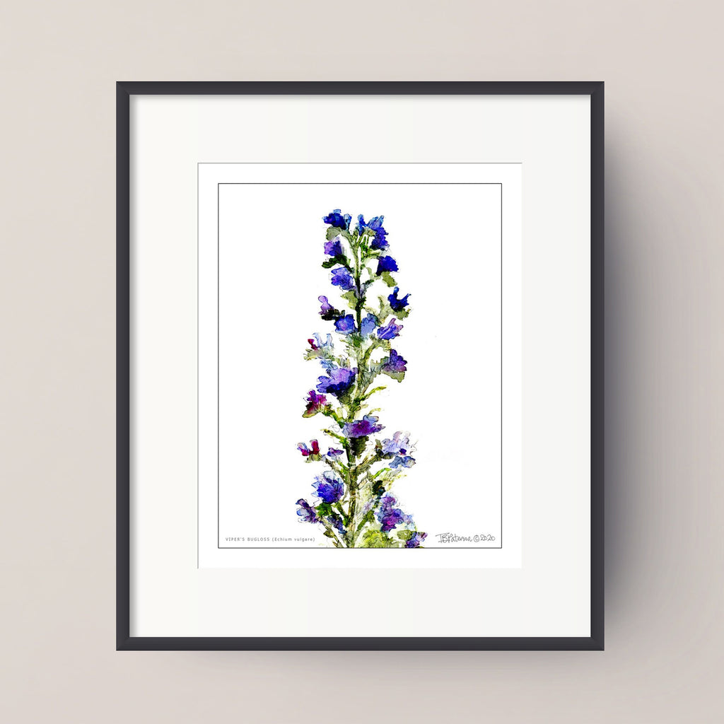 Framed botanical art print featuring a watercolor-style purple and blue flower stem on a white background, set in a black frame with a white mat against a light beige wall.