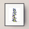 Framed botanical art print featuring a watercolor-style purple and blue flower stem on a white background, set in a black frame with a white mat against a light beige wall.
