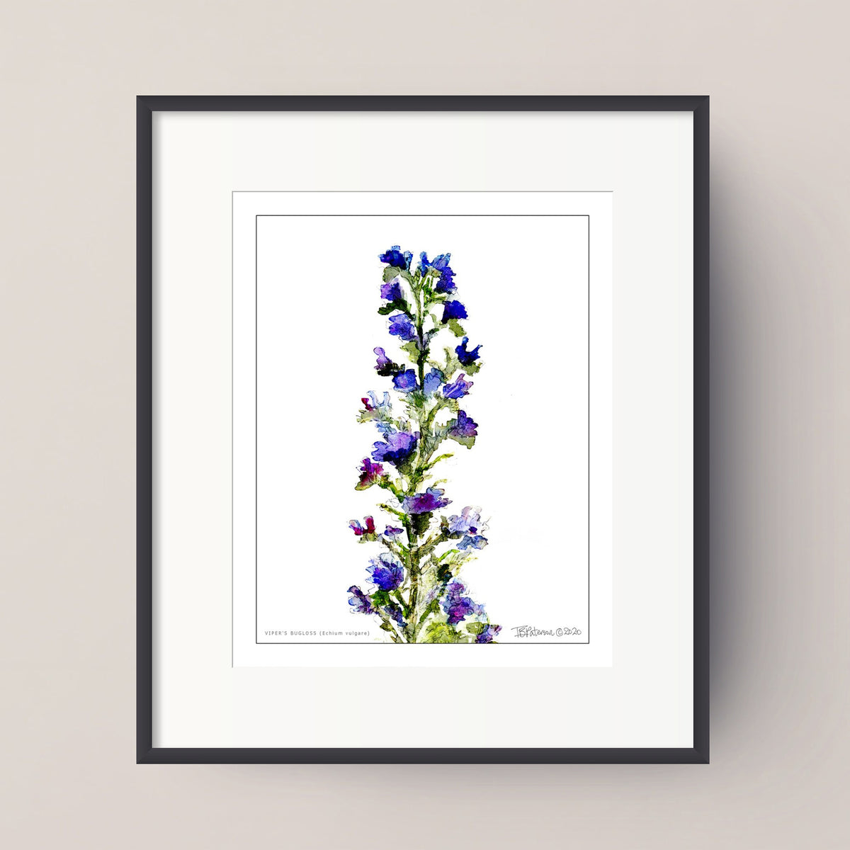 Framed botanical art print featuring a watercolor-style purple and blue flower stem on a white background, set in a black frame with a white mat against a light beige wall.